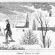 Illustration for article titled Think You Get A Lot Of Snow? These Are The Largest Snowfalls On Record